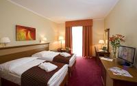 Hotelzimmer zu billigen Preisen in Ungarn Hotel Balneo Zsori