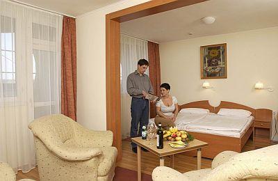 Doppelzimmer in Wellness Hotel Eger Park Hotel - Park Hotel Eger - Eger  - Hotel Eger**** Park Eger - Rabatt Wellnesshotel in Eger, Ungarn