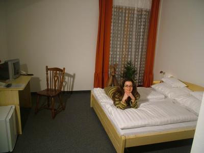Hotel Hajnal Mezokovesd - Wellnessurlaub in Mezokovesd - ✔️ Hotel Hajnal*** Mezőkövesd - Wellnesshotel in der Nähe des Zsory Bades in Mezökövesd
