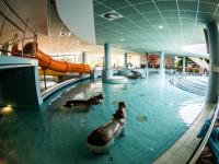 Spa Kurpakete in Hajduszoboszlo - Thermalbecken