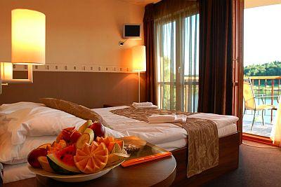 To Hotel Bank*** Panoramablick auf den Bank Lake vom Zimmer - ✔️ To Wellness Hotel*** Bank - romantisches Hotel am Banki-See