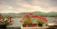 Billige Unterkunft mit Panorama auf Donau in Var Wellness und Kastelyszallo